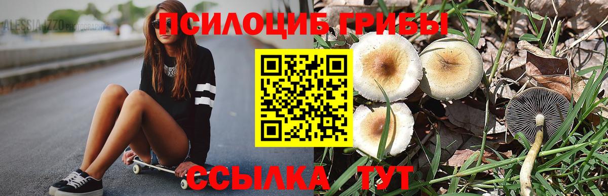 Советск  как найти закладки  Вход с VPN  Галлюциногенные грибы GOLDEN TEACHER 